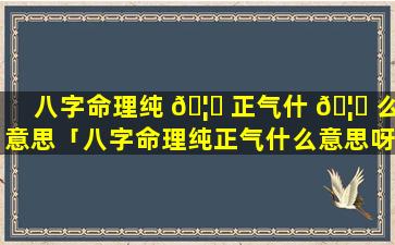 八字命理纯 🦄 正气什 🦁 么意思「八字命理纯正气什么意思呀」